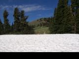 ML_20060723_101654.jpg