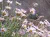 ph_20060611_102548_small.jpg
