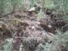 ph_20060611_111226_small.jpg