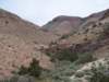 ph_20060611_121348_small.jpg