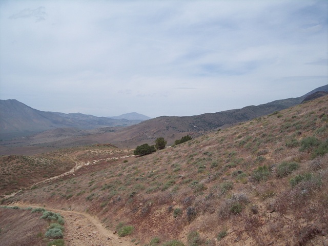 ph_20060611_125934.jpg