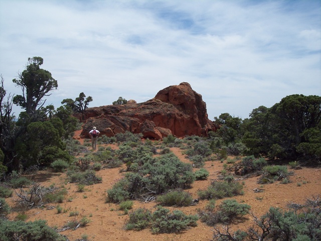 ph_20060611_134520.jpg