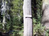 ParadiseLake_20060923_145332.jpg