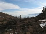 Peavine_20061231_130224.jpg