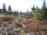 PeavineWest_20070325_100336.jpg
