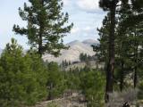 PeavineWest_20070325_101112.jpg