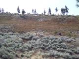 PeavineWest_20070325_104554.jpg