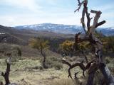 PeavineWest_20070325_124502.jpg