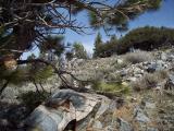 PeavineWest_20070325_125616.jpg