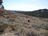 PeavineWest_20070325_132758.jpg