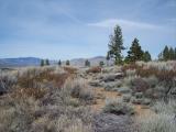 PeavineWest_20070325_141522.jpg