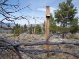 PeavineWest_20070325_143304.jpg