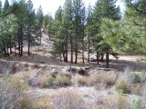 PeavineWest_20070325_145116.jpg