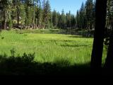 SierraButtes_20060812_163348.jpg