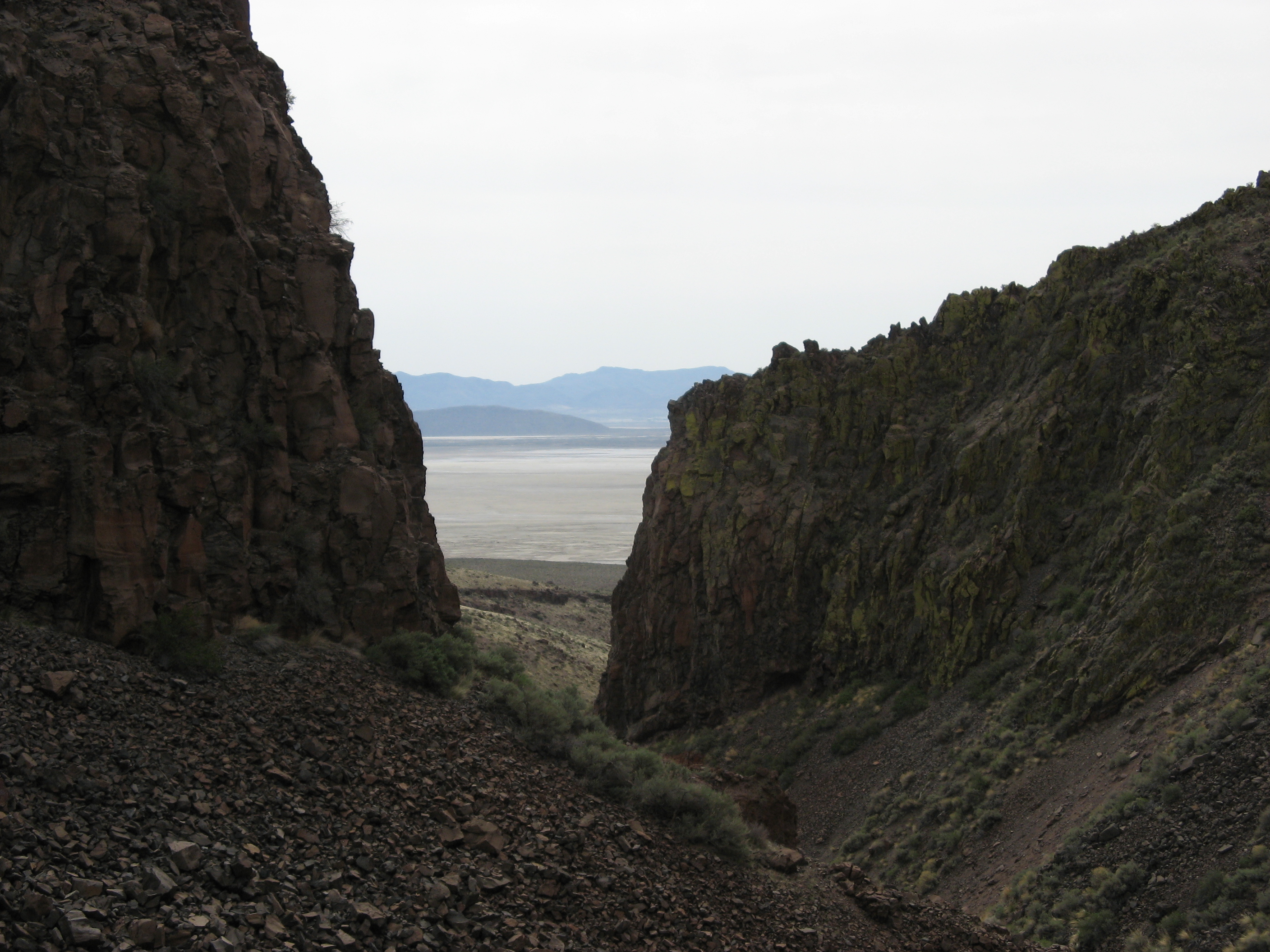 deer wall border deer wall border elephant wall decal