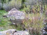 WallCanyon_20070429_115710.jpg