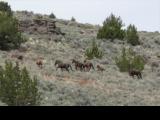 WallCanyon_20070429_122314.jpg
