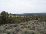 WallCanyon_20070429_130148.jpg