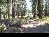 SquawValley_20060820_103500.jpg