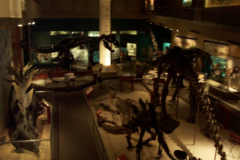 va_20060603_102540.jpg