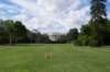 va_20060603_162848_small.jpg