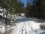 IMG_0013.JPG