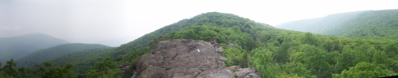 bearfencerocks1.jpg