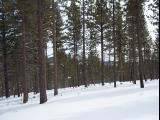 100_0365.JPG