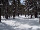 100_0368.JPG