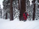 100_0384.jpg