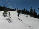 MartisRoad_20070217_115224.jpg