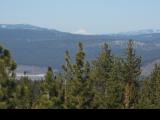 MartisRoad_20070217_115528.jpg