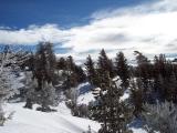 100_0175.jpg