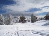 100_0196.jpg
