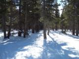 TahoeMeadows_20071216_100246.jpg