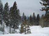 100_0686.JPG