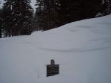 100_0694.JPG